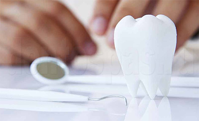Модель зуба, стоматологическое зеркало